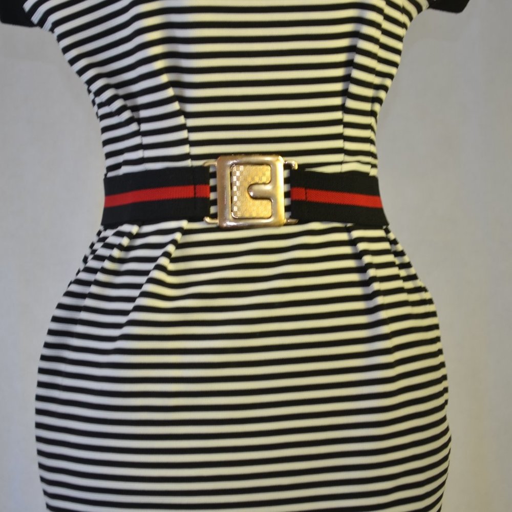 Seeing Stripes - Picture 2 of 4